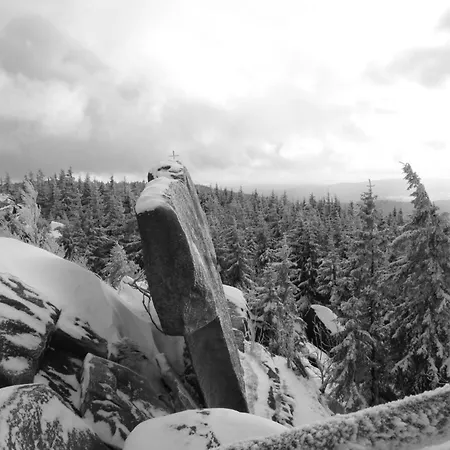 Fichtellofts * Bischofsgrün