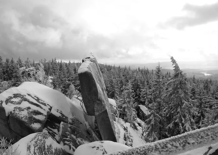 Fichtellofts * 비쇼프스그룬