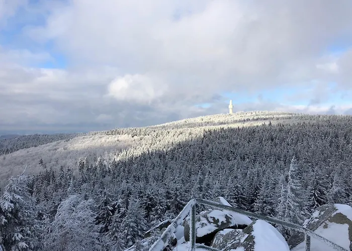 Fichtellofts * 비쇼프스그룬